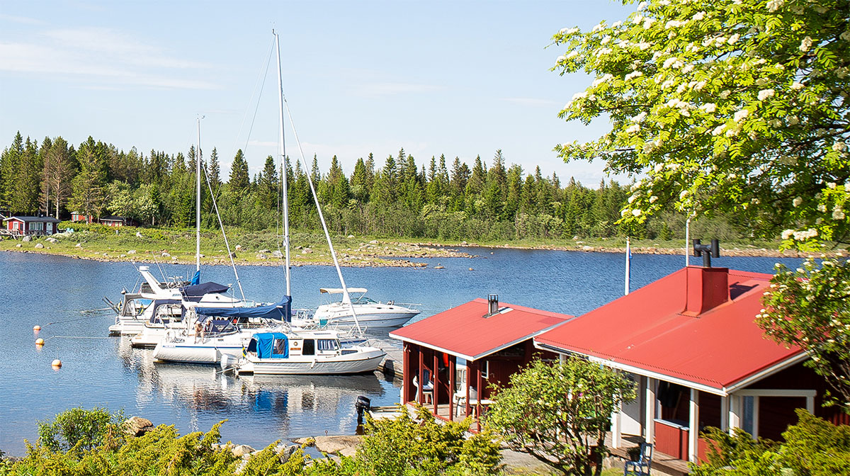 Luleå skärgård, en gästhamn med fritidsbåtar och röda stugor