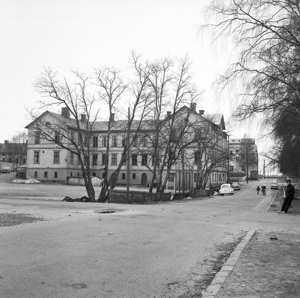 Stor skolbyggnad med avlövade träd framför.