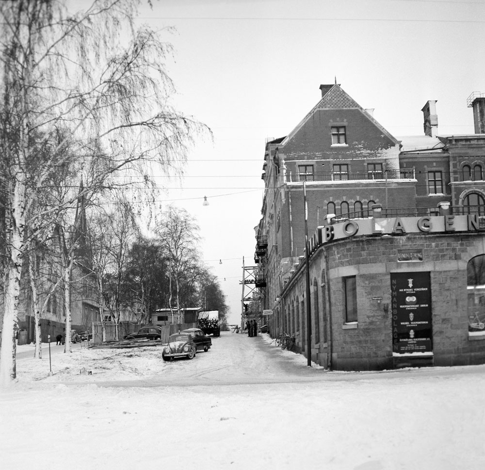 Gatumiljö med stenhus och björkallé.