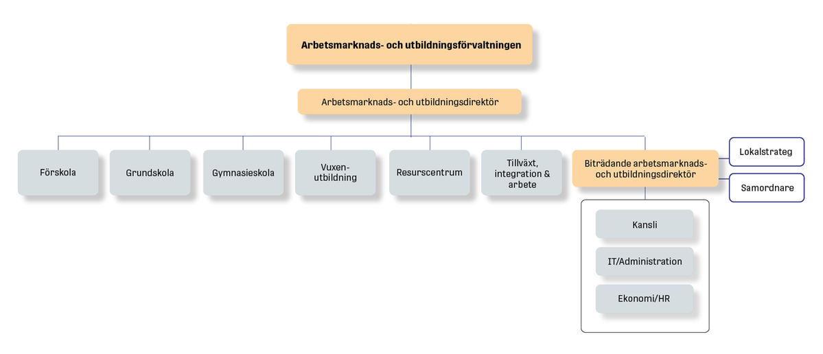 Bild över socialförvaltningens organisation